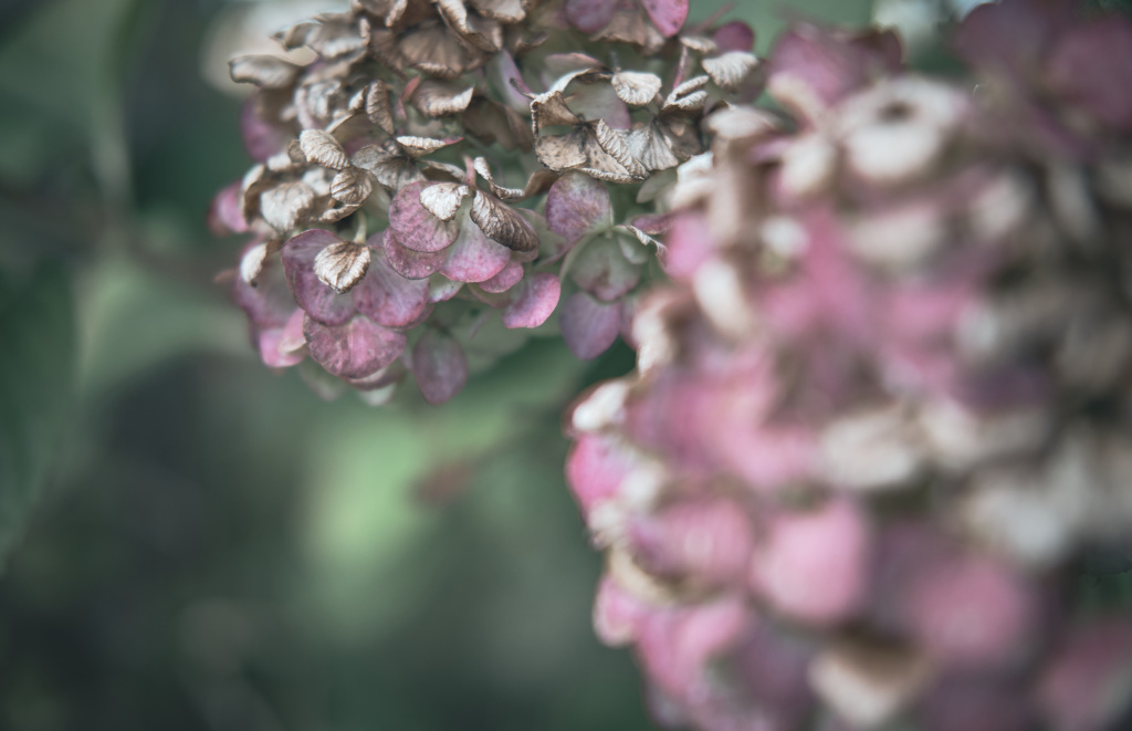 color