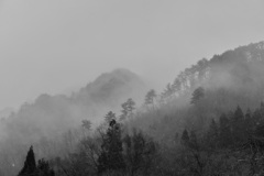 雨から雪へ