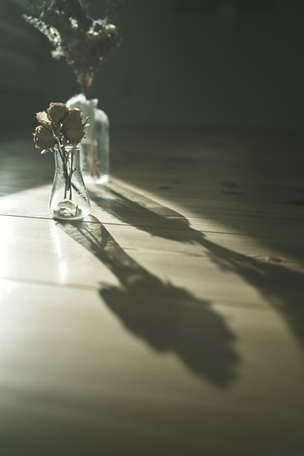 物・雑貨写真集