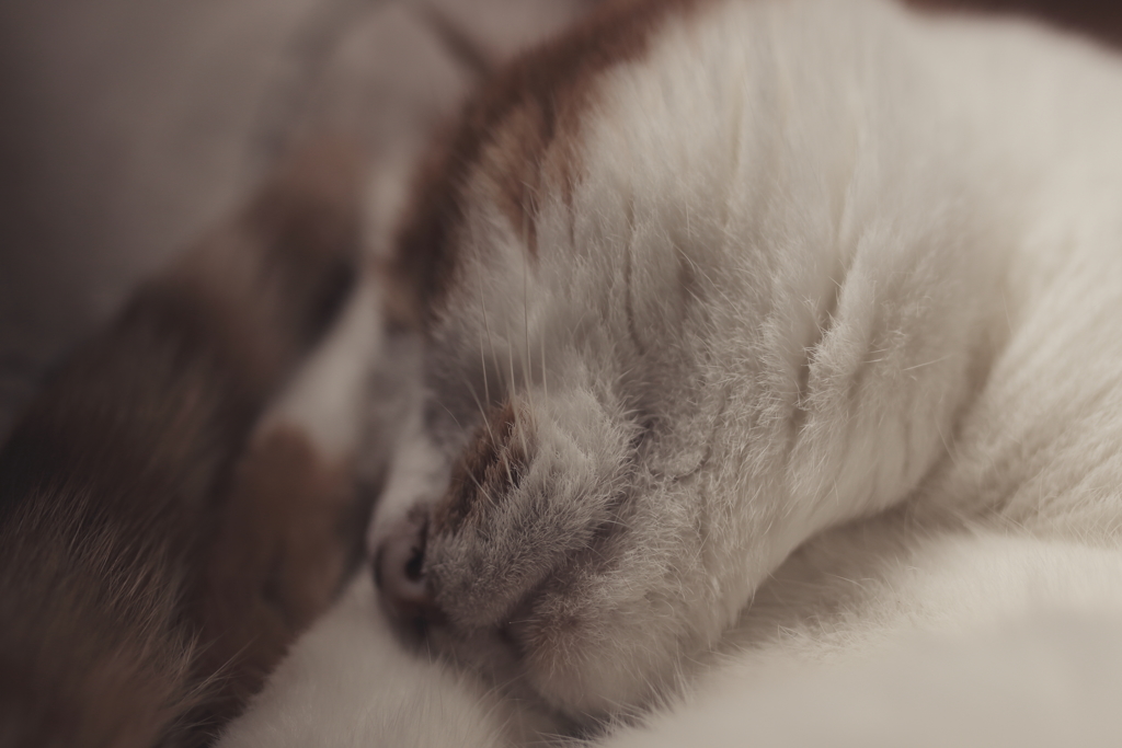 眠り