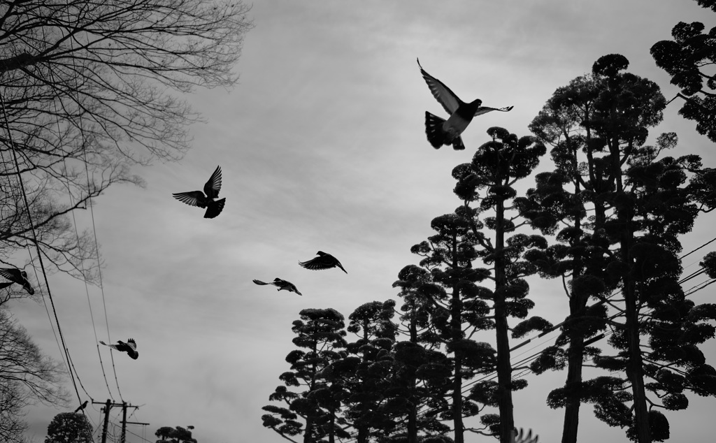 to the sky