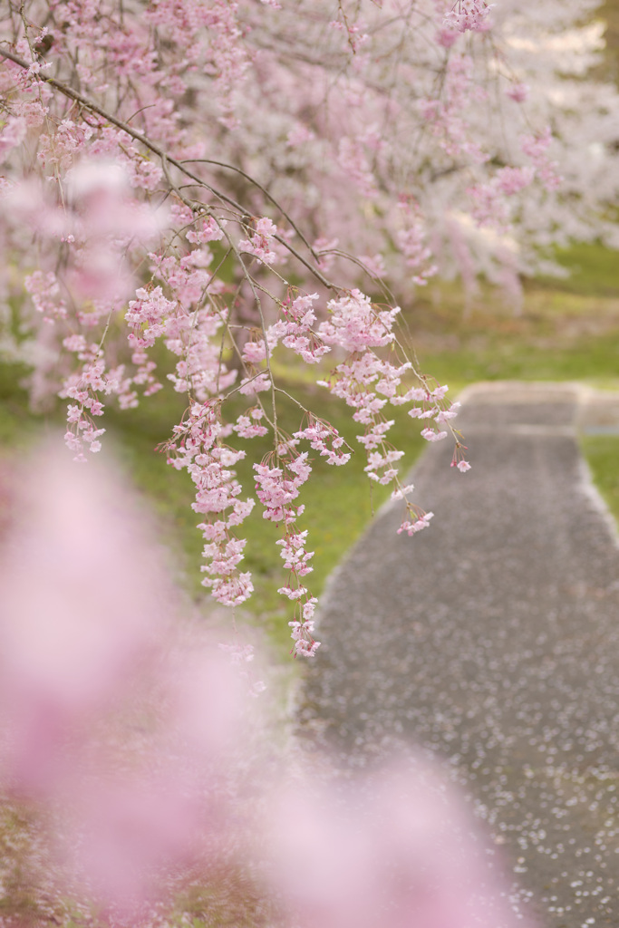 花道