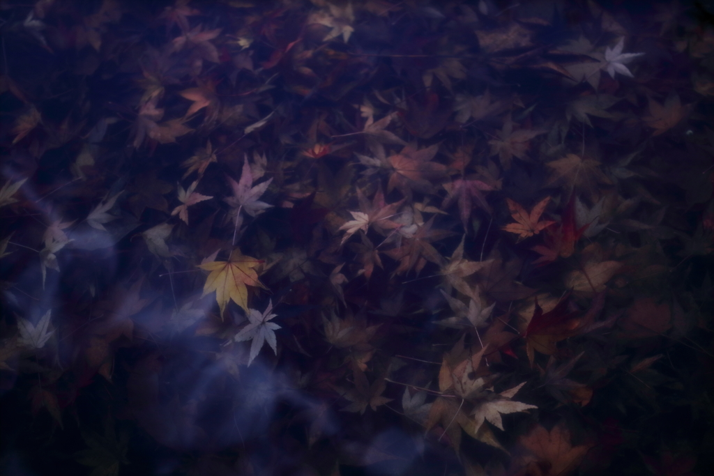 幽玄
