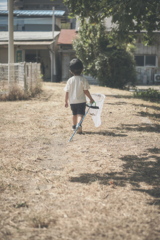 insect hunting