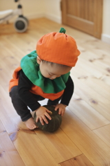 pumpkin & squash