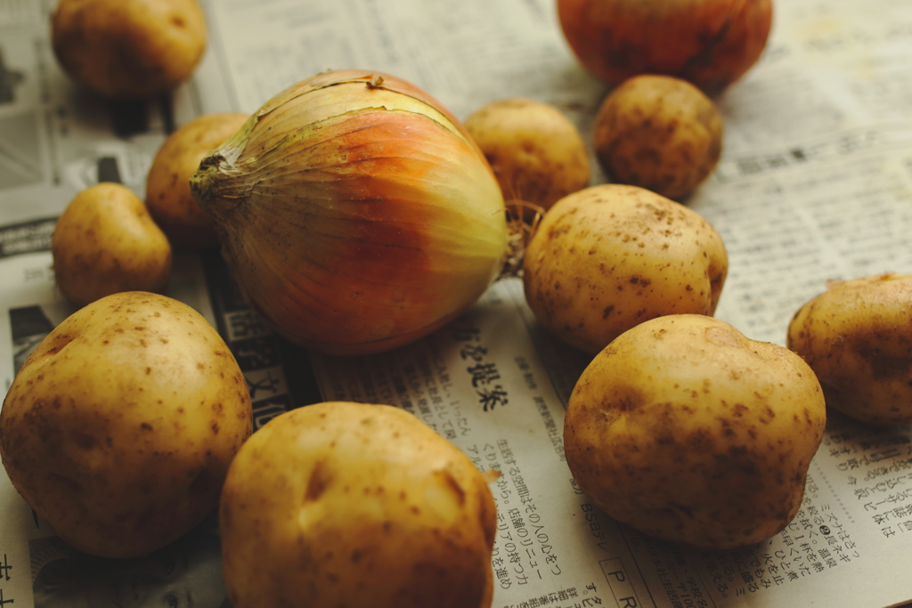 野菜ゴロゴロ