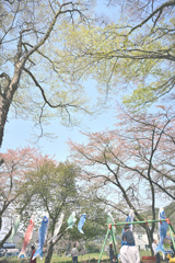 こどもの日