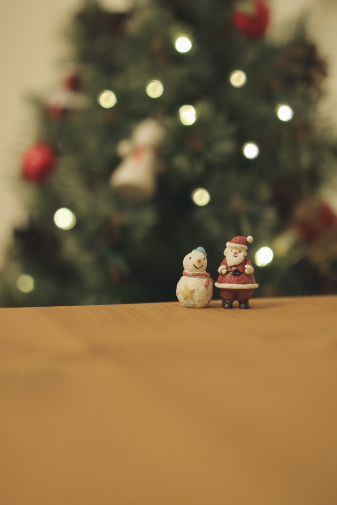  Merry Christmas☆