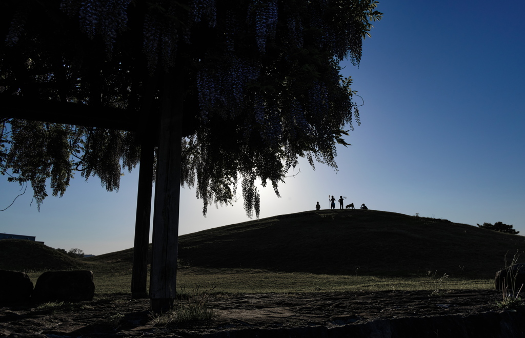 silhouette
