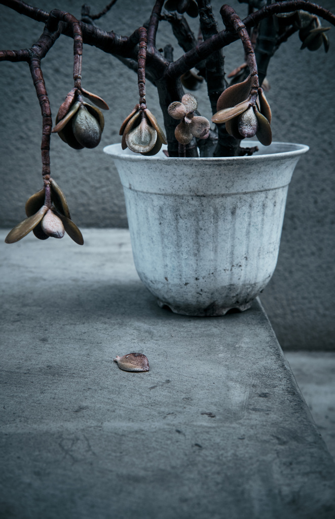 落下