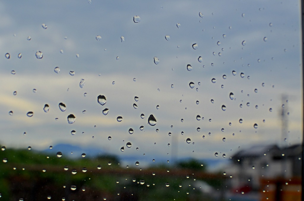 通り雨後