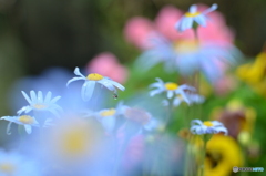 梅雨の季節