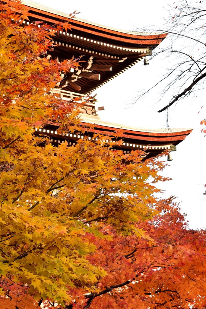 飛騨高山 国分寺の紅葉