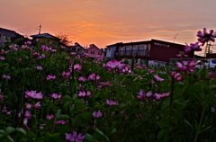 IMGP5557