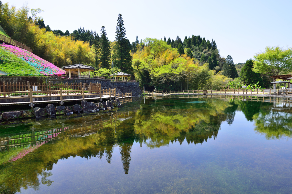 日本名水百選丸池湧水　（霧島山麓丸池湧水）