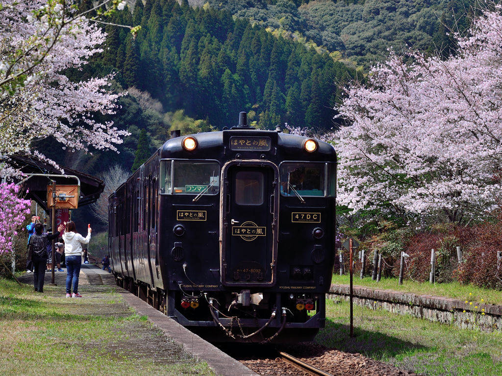 嘉例川駅はやとの風①