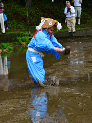 鹿児島神宮お田植祭