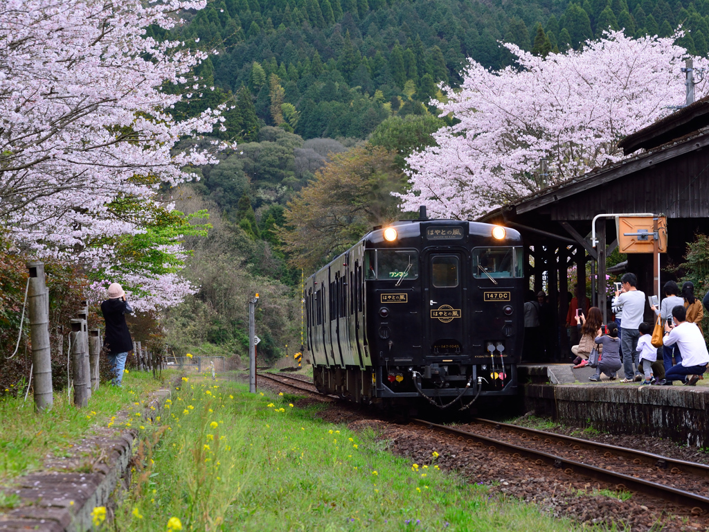 嘉例川駅とはやとの風①