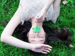 木の葉