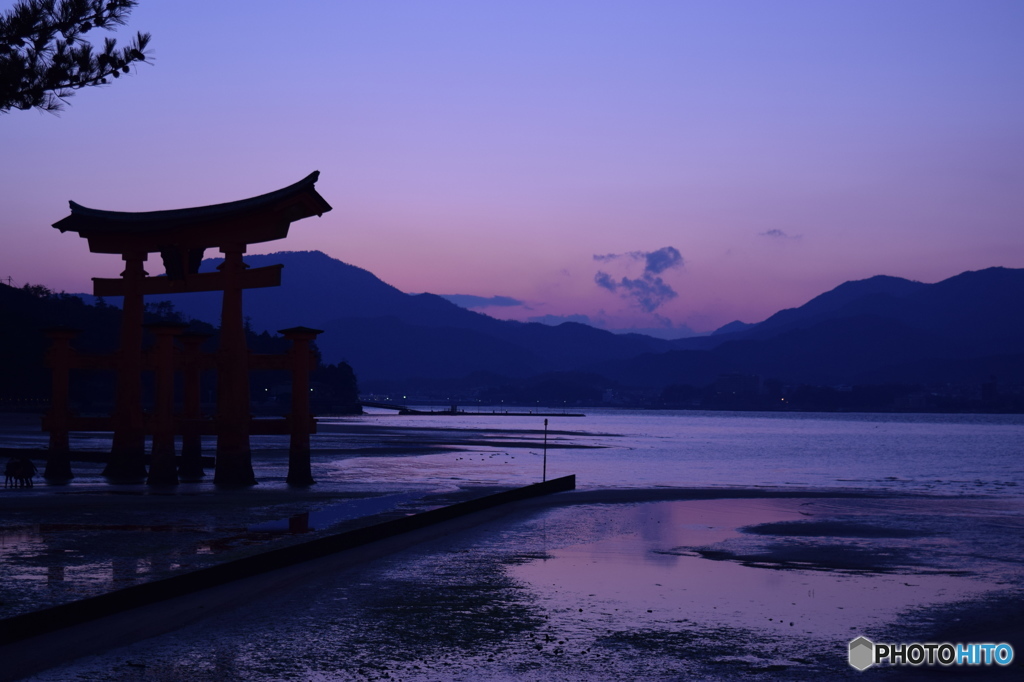 暮れの厳島