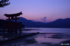 暮れの厳島