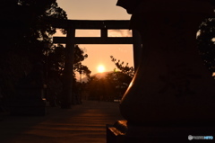 日の沈む鳥居