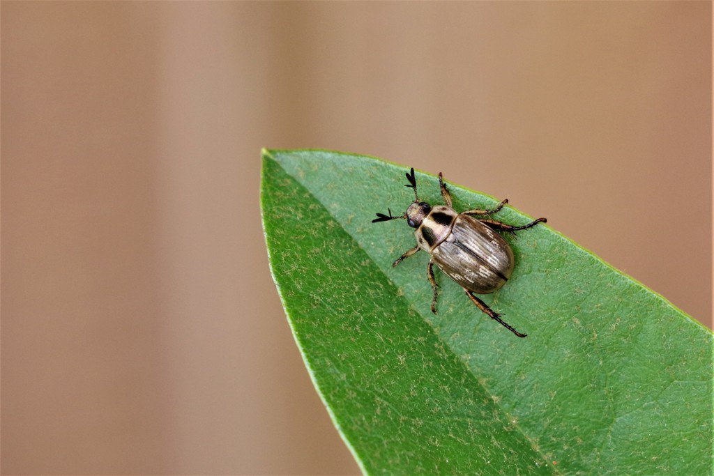 僕たちの季節や (2)
