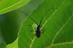 いっぱい食べるぞぉー