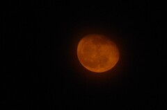 昨夜の月