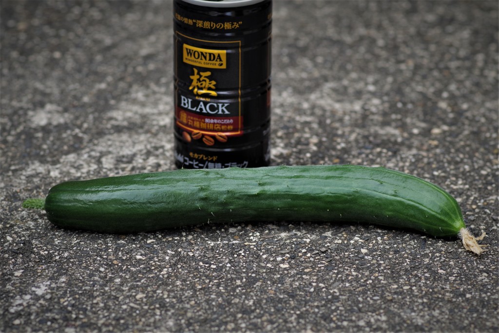 ウチのキュウリ