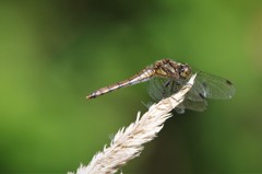 今日もいい天気 (2)