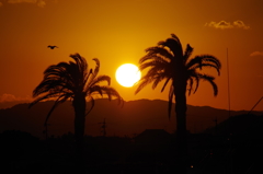 2016年の日の入り