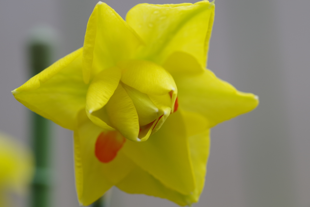 もう少しで・・・