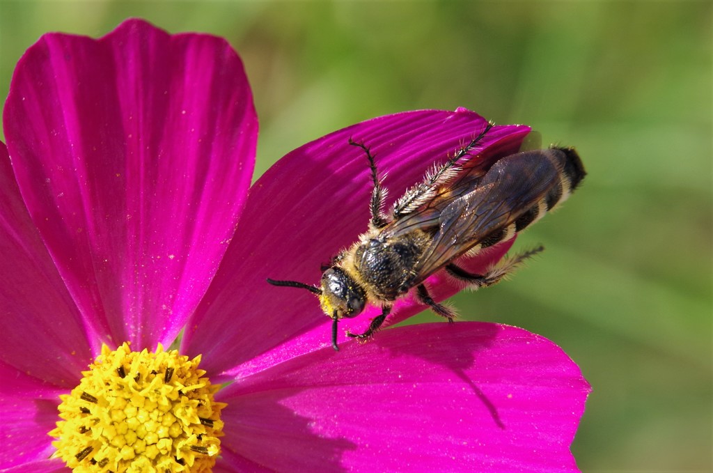 今のうちに・・