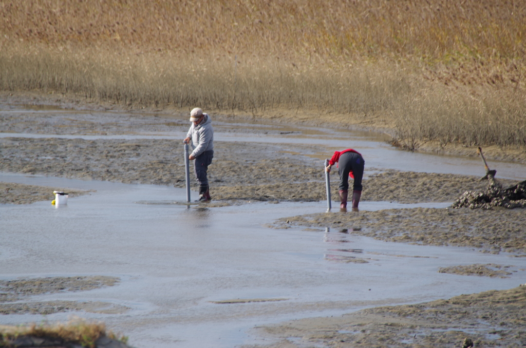 なにしとんのー