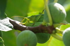 いいとこ見っけ