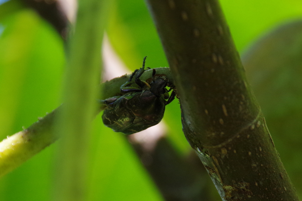 いいとこ見っけ