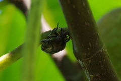 いいとこ見っけ