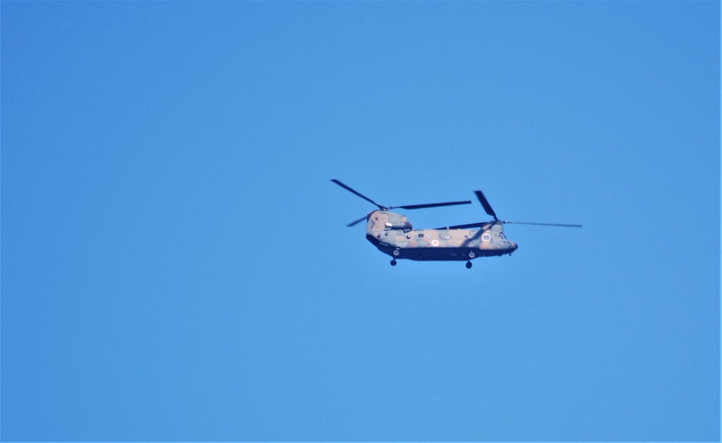 青い空 (1)