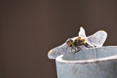 僕は、ここだよ (2)