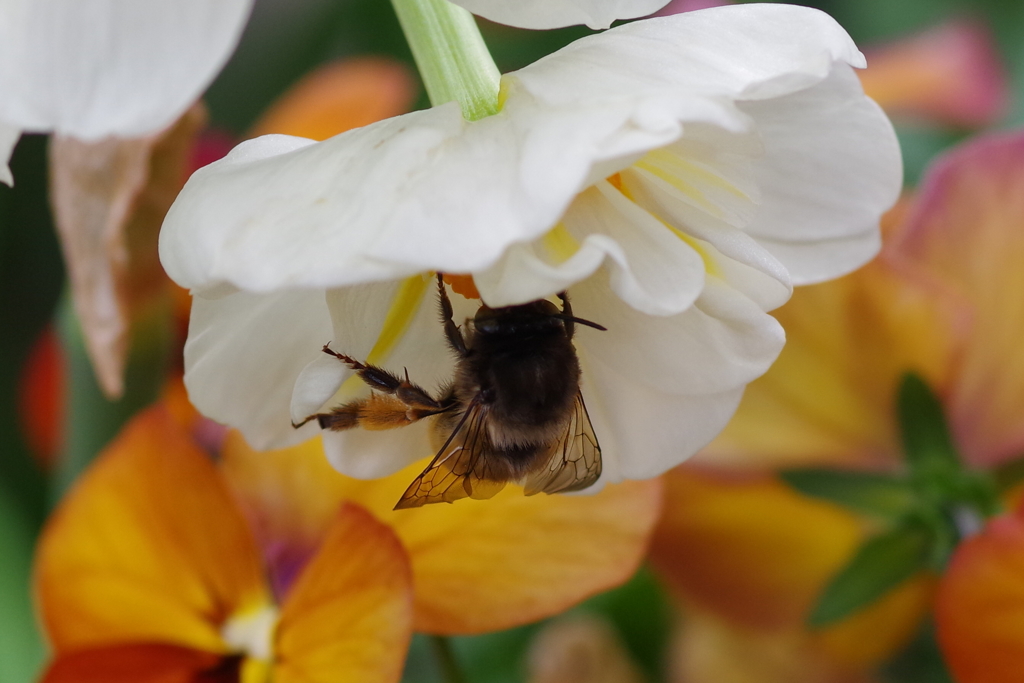 陽気に誘われて