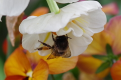 陽気に誘われて