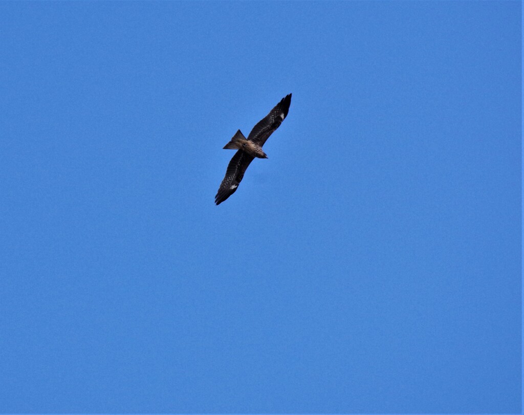 青空と