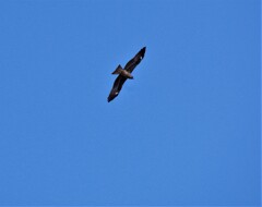青空と