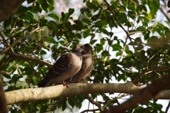 うん、なるほど