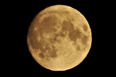 12日　21時半の月