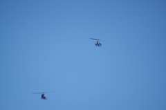 青空に向かって