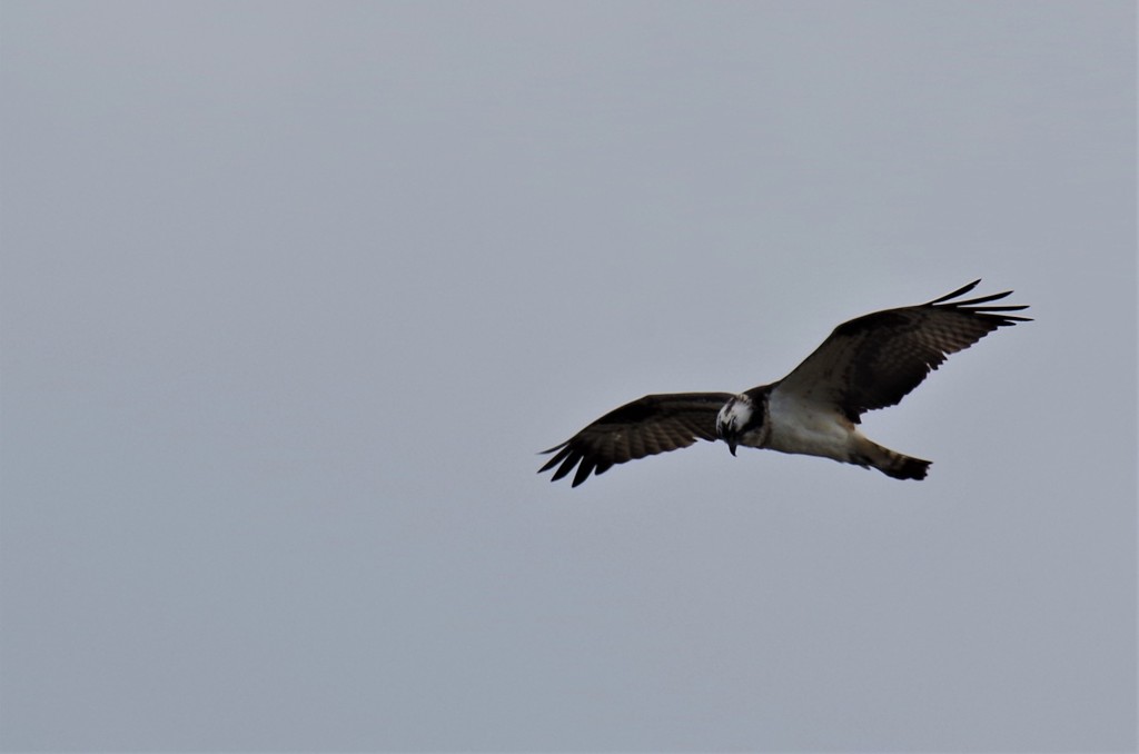 狙いを定めて・・・