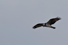 狙いを定めて・・・