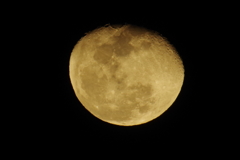 昨夜の月